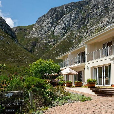 Francolinhof Guest House Hermanus Exteriér fotografie