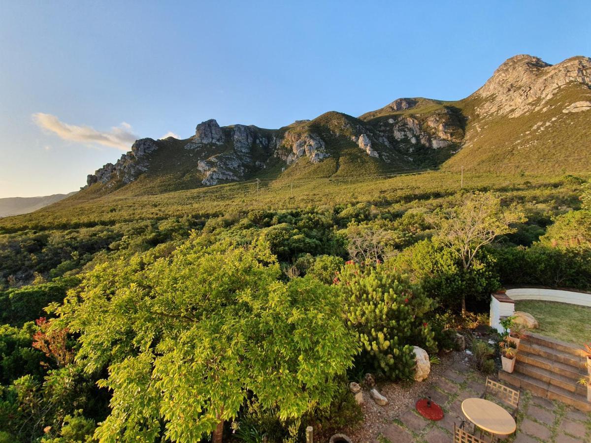 Francolinhof Guest House Hermanus Exteriér fotografie